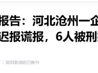 河北沧州“3.8”闪爆致4死：企业负责人迟报谎报，6人被刑拘