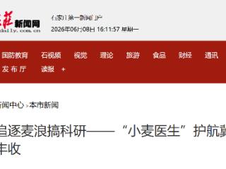 追逐麦浪搞科研——“小麦医生”护航冀中夏粮丰收