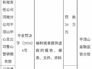 大家财险河南分公司平顶山中心支公司鲁山营销服务部因提供虚假的报告等被罚款20万元