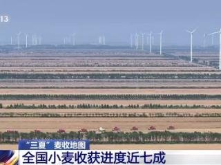 小麦收获进度来了，河北近两成