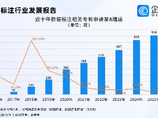 持续做强做深数据标注产业，去年数据标注相关专利申请创新高