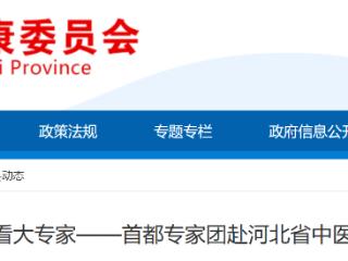 零距离享高品质诊疗——首都专家团赴河北省中医院义诊