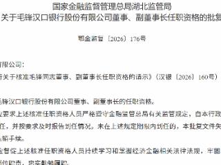 毛锋获批担任汉口银行董事、副董事长