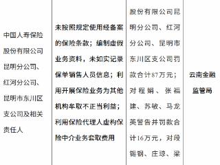 中国人寿云南三分公司因未按照规定使用经备案的保险条款等被合计罚款87万元