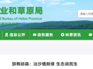 邯郸邱县：治沙植新绿 生态润民生