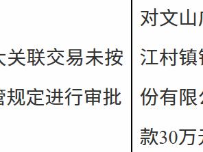 文山广南长江村镇银行因重大关联交易未按监管规定进行审批被罚款30万元