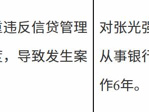 中国银行文山州分行相关责任人张某强因严重违反信贷管理制度，导致发生案件被禁业6年