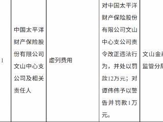 中国太平洋财产保险文山中心支公司因虚列费用被罚款12万元
