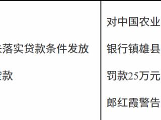 中国农业发展银行镇雄县支行因未落实贷款条件发放贷款被罚款25万元