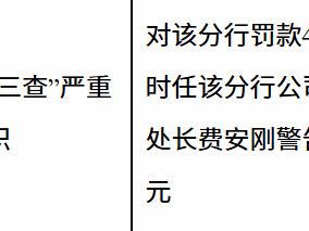 中国进出口银行山东省分行因贷款“三查”严重不尽职被罚款40万元