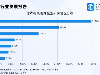 东北小城每天给全球做泳衣，国内相关企业超1.2万家，葫芦岛占比近三成