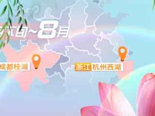 从艺术空间到舌尖美味 打开赏荷地图探寻“一路生花”的夏日美丽经济