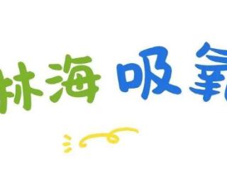 全网爆火的“前额叶友好”，原来在河北这座山下小城就能亲身体验