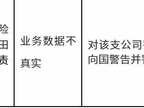 中华联合财产保险和田县支公司因业务数据不真实被罚款50万元