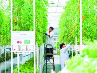 石家庄市：推进滹沱河沿岸和美乡村重点片区建设