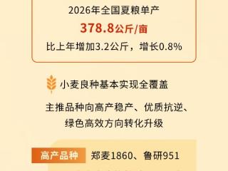 一图看懂“十五五”首个夏粮丰收 何以突破3000亿斤？