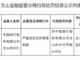 中国银行文山州分行因严重违反信贷管理制度被罚款40万元