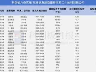 “科八条”发布一周年：近500家公司激励股权 371家公司分红