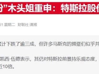特斯拉暴跌后“木头姐”仍力挺：至少马斯克淡出白宫事务了