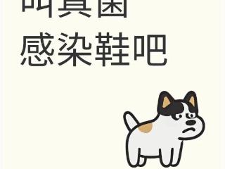 爆火到人人爱穿的洞洞鞋，是“脚气培养皿”？