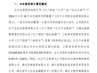 长江证券大股东变更尘埃落定，湖北国资控股标签打足，券业显见三大典型性股权变更