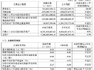 振华新材上半年亏损扩大至2.17亿元 高镍及超高镍三元正极材料销量占比超五成