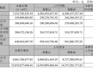 厦钨新能上半年营收净利双增 部分募投项目延期
