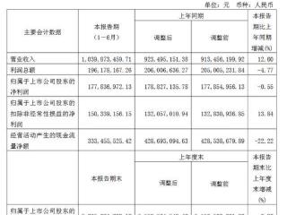 中船特气上半年增收不增利 研发投入下降