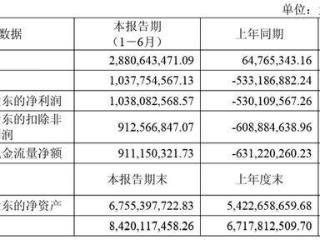 寒武纪上半年营收大增43倍，净利润同比扭亏