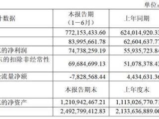 斯瑞新材2025上半年营收净利双增 经营性现金流净额下滑276.53%