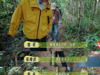 全网都在等着看那英的新梗