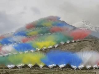 不止喜马拉雅！九寨沟圆明园都曾遭破坏，陈凯歌张纪中被点名批评