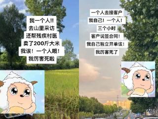 “勇敢小羊”成爆梗，拒绝长大的00后集体沉迷动画片