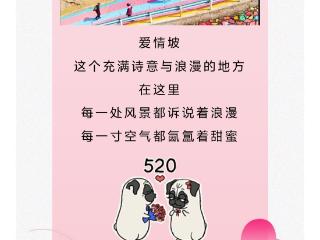 520相约正安爱情坡 解锁超甜浪漫密码