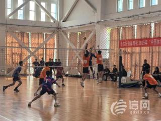 3比0横扫夺冠 青岛男排小将闪耀山东省排球锦标赛