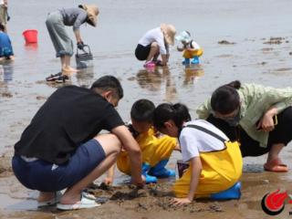 潍坊滨海：端午假期赶海戏水游人气高涨