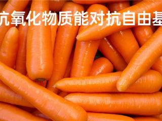 吃什么可以调理身体 营养师给出专业方案