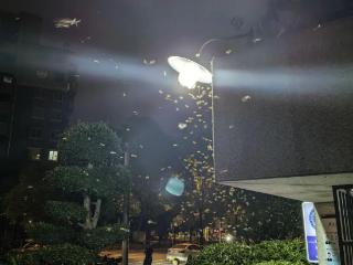 头皮发麻！福州今晚又出现了！快关窗！