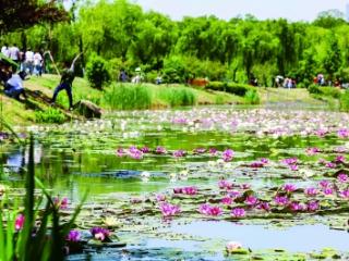 “五一”假期迎客量上榜全国景区Top3