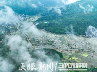 黎平：白鹭蹁跹舞秧田