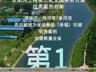 海报丨看！安阳的“绿”动节拍