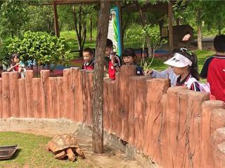 在行走中学习，在实践中成长
