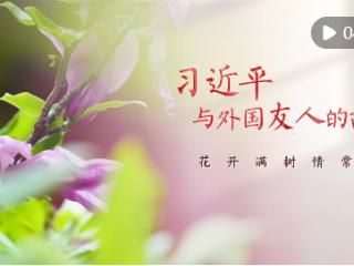 习近平与外国友人的故事｜花开满树情常在