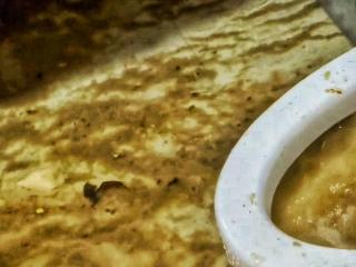壹点帮办丨红木家具遭粪水浸泡！青岛一住户频陷“污水之困”