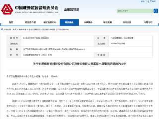 信息披露不准确！昇辉科技收警示函