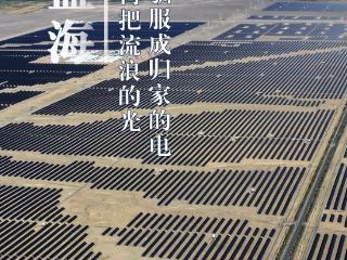 世界环境日丨看新疆的“绿色”答卷