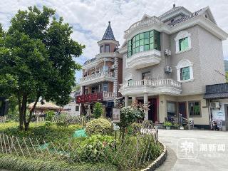 有花有草有田园，杭州这个景中村又给村民送惊喜