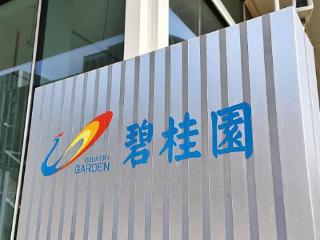 碧桂园第三次延长境外债务重组支持协议同意费期限，希望年内完成境外债务重组