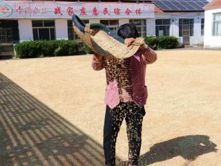 筝鸣时评丨开院晒粮，潍坊“晒”出民生温度