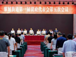 金湖县黎城街道第一届议政代表会第五次会议圆满召开